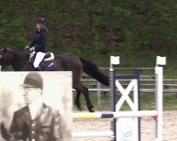 Reitturnier Lgl.-Oberhain, B95 2024