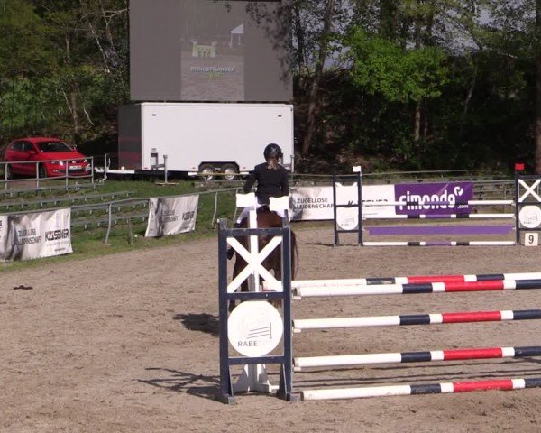 Reitturnier Lgl.-Oberhain, B95 2024