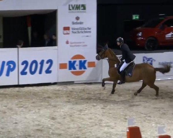 K+K Cup Münster 2012