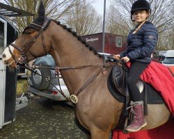 Springpferd Orlando 322 (Oldenburger Springpferd, 2018, von Ogano Sitte)