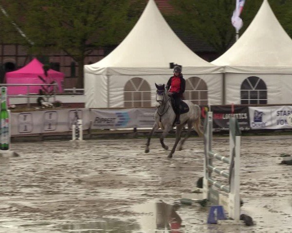 Reitturnier Werne-Lenklar 2024