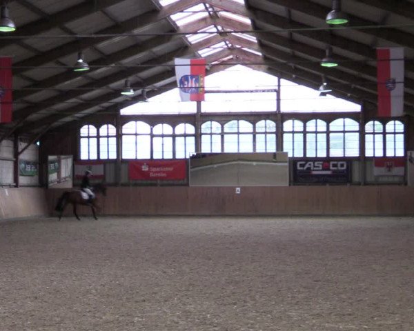 Reitturnier Elisenau 2021