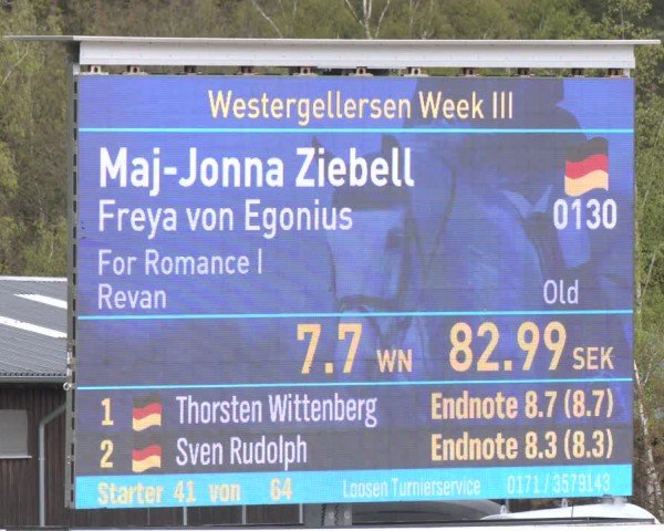Reitturnier Westergellersen 2024