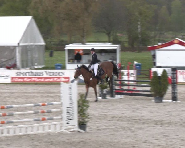 Reitturnier Westergellersen 2024