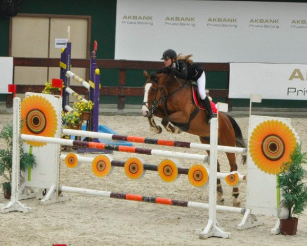 jumper Leonardo W (Holsteiner, 2001, from Liatos)
