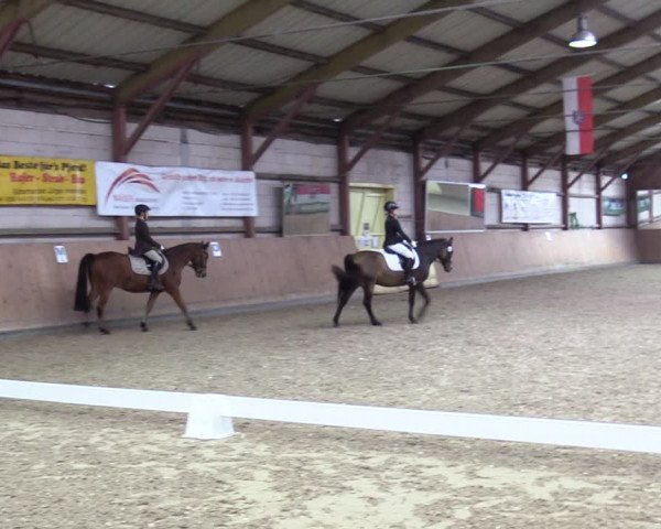 Reitturnier Elisenau 2021