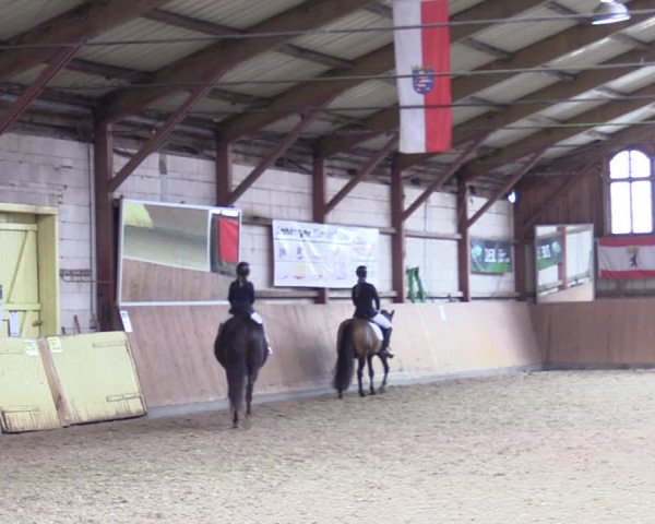 Reitturnier Elisenau 2021