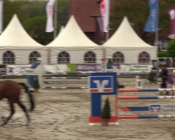 Lenklarer Reitertage Werne 2024