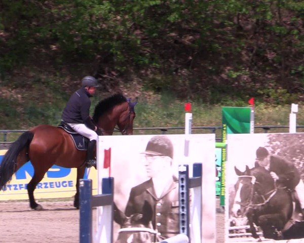 Reitturnier Lgl.-Oberhain, B95 2024