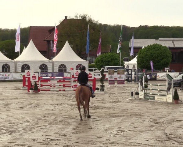 Lenklarer Reitertage Werne 2024