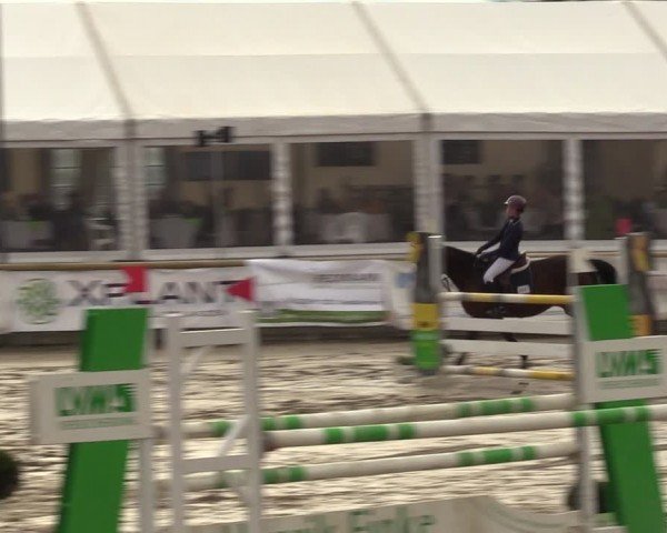 Lenklarer Reitertage Werne 2024