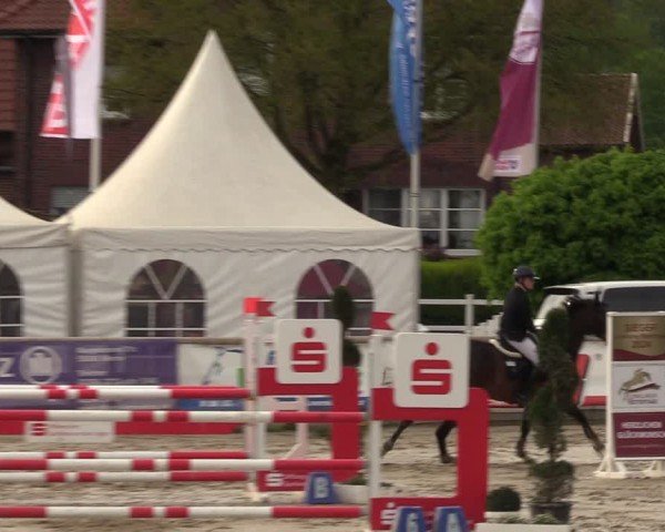 Reitturnier Werne-Lenklar 2024