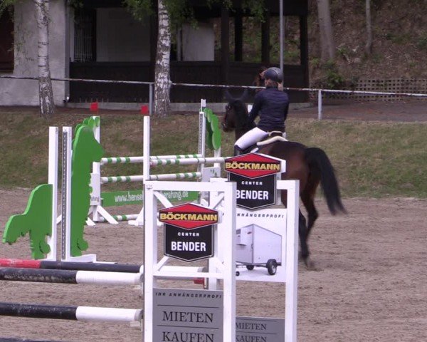 Reitturnier Lgl.-Oberhain, B95 2024