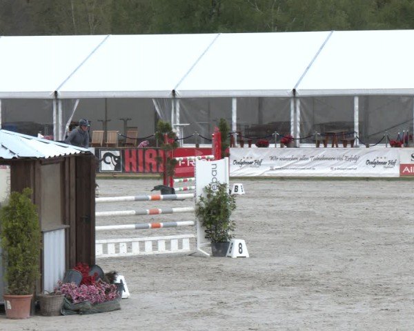 Reitturnier Westergellersen 2024