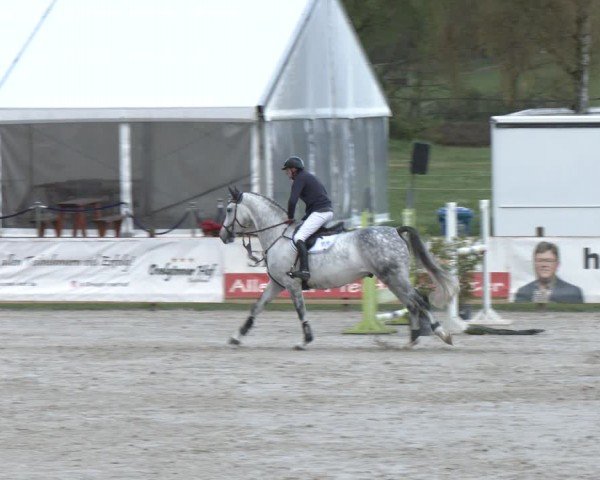 Reitturnier Westergellersen 2024