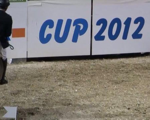 K+K Cup Münster 2012