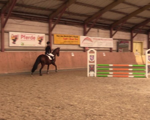 Reitturnier Elisenau 2021