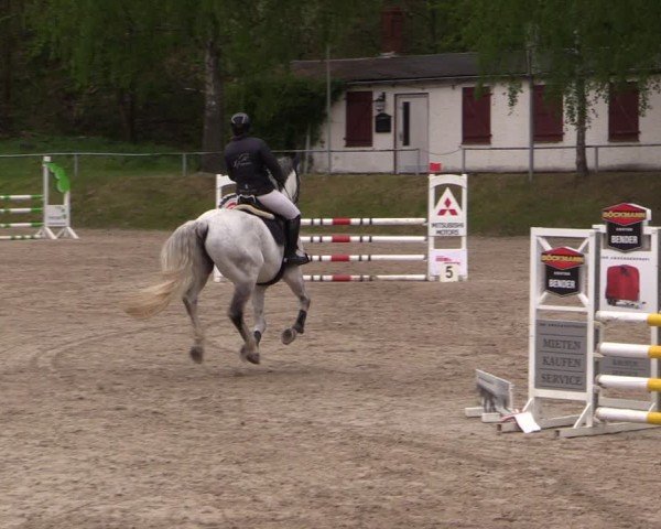 Reitturnier Lgl.-Oberhain, B95 2024