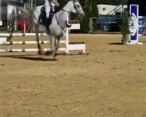 Reitturnier Gelsenkirchen-Scholven 2022