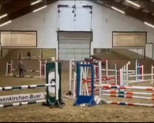 Reitturnier Gelsenkirchen-Buer 2022