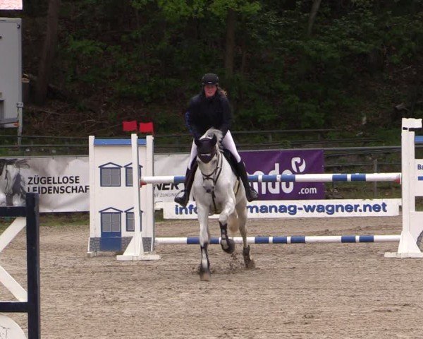 Reitturnier Lgl.-Oberhain, B95 2024