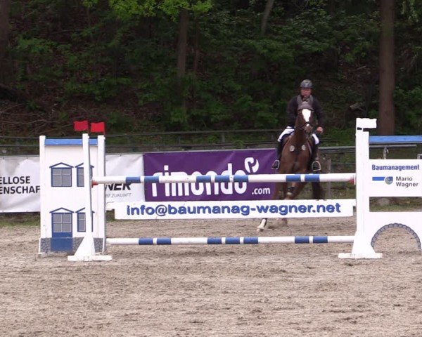 Reitturnier Lgl.-Oberhain, B95 2024