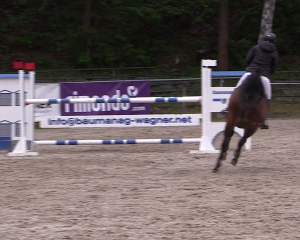 Reitturnier Lgl.-Oberhain, B95 2024