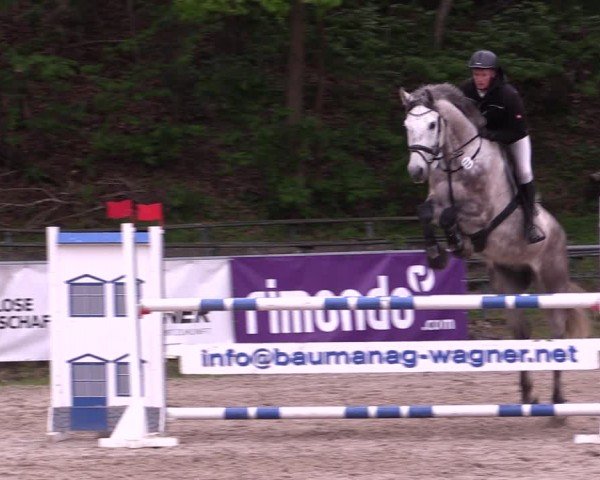 Reitturnier Lgl.-Oberhain, B95 2024