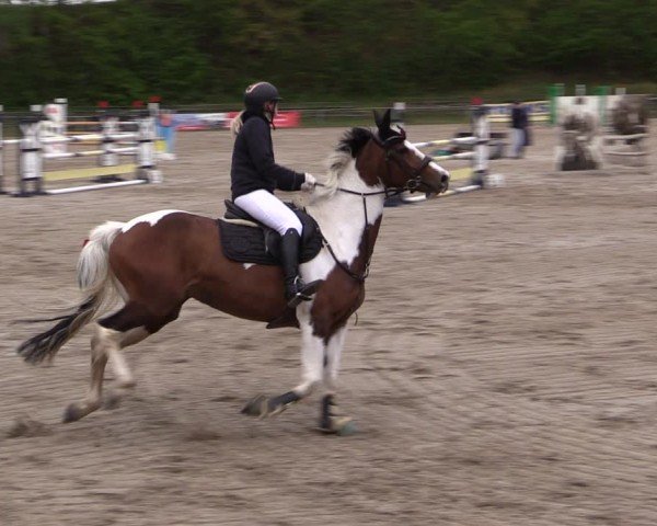 Reitturnier Lgl.-Oberhain, B95 2024