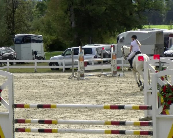 Reitturnier Isny-Rohrdorf 2021