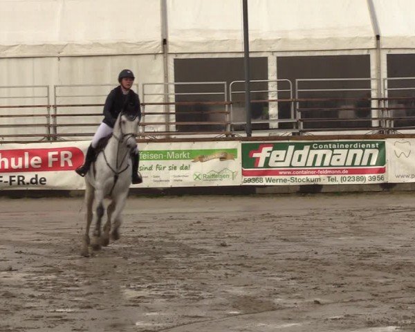 Lenklarer Reitertage Werne 2024