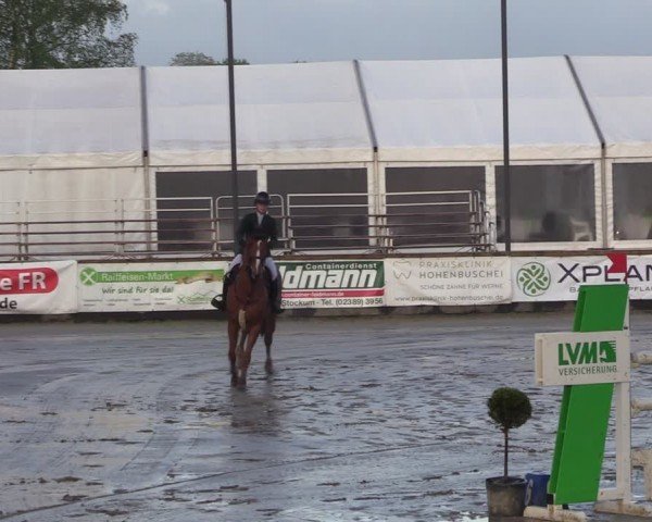 Lenklarer Reitertage Werne 2024