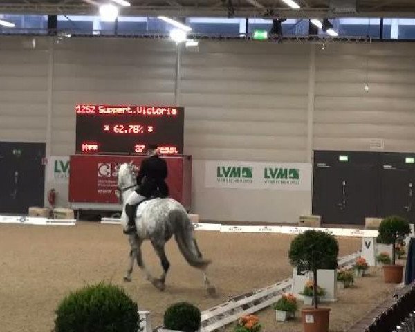 K+K Cup Münster 2012