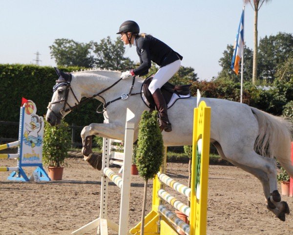jumper Zoosie (Holsteiner, 2007, from Cartani 4)
