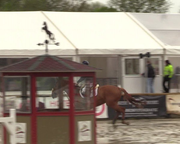 Reitturnier Werne-Lenklar 2024