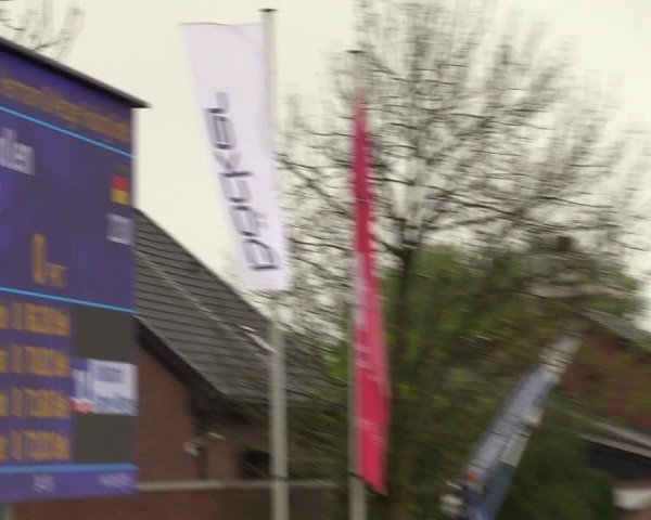 Lenklarer Reitertage Werne 2024