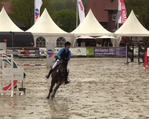 Lenklarer Reitertage Werne 2024