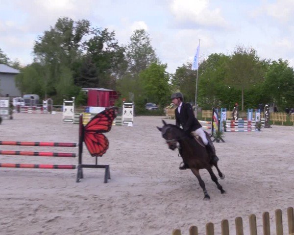 Reitturnier Pietzpuhl 2024