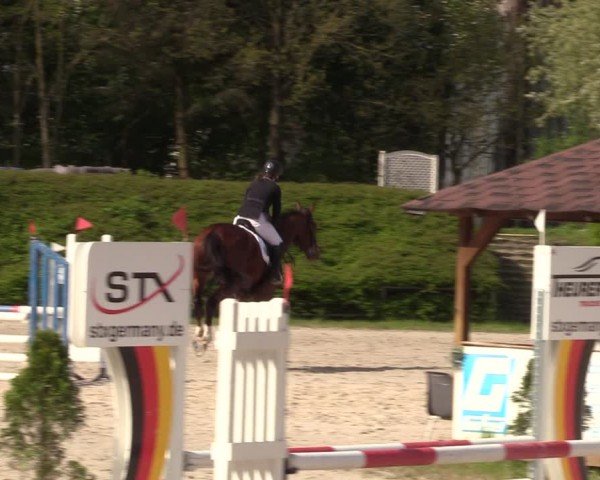 Reitturnier Pietzpuhl 2024