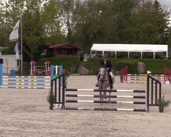 Reitturnier Pietzpuhl 2024