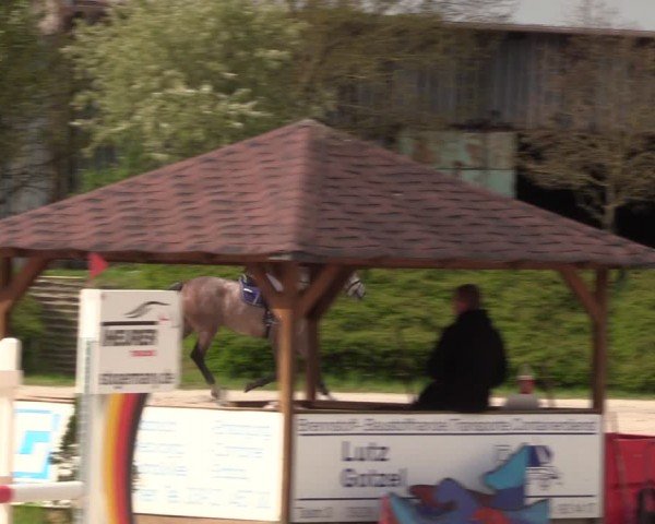 Reitturnier Pietzpuhl 2024
