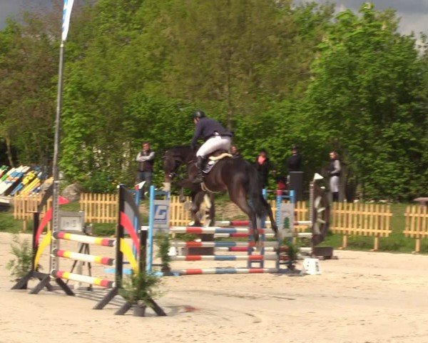Reitturnier Pietzpuhl 2024