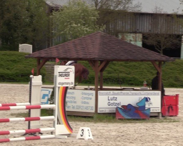 Reitturnier Pietzpuhl 2024