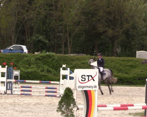 Reitturnier Pietzpuhl 2024