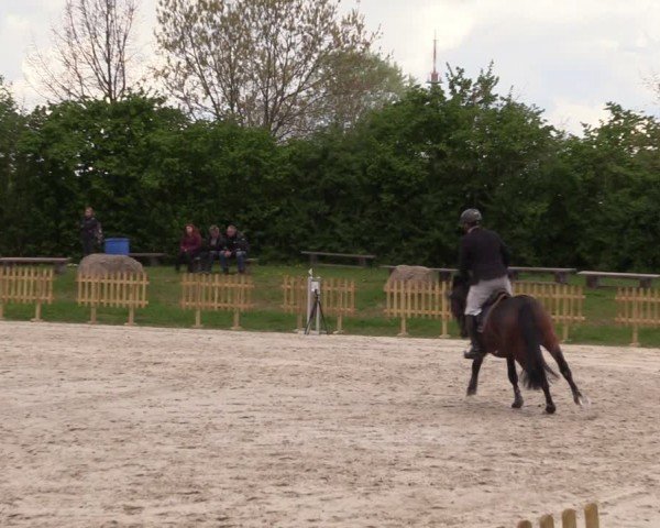 Reitturnier Pietzpuhl 2024