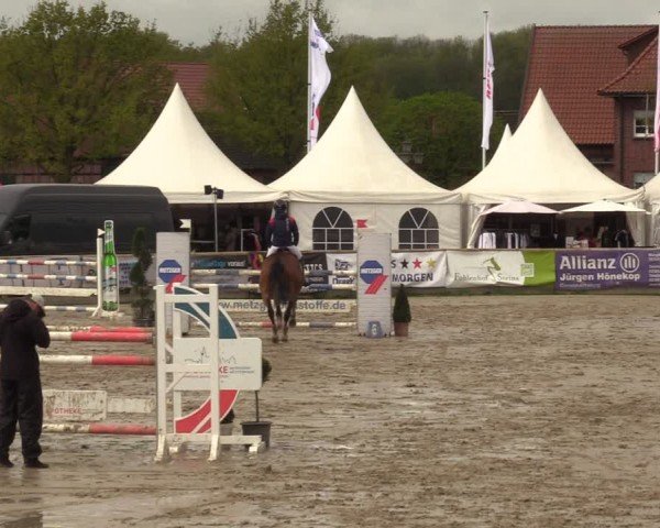 Reitturnier Werne-Lenklar 2024