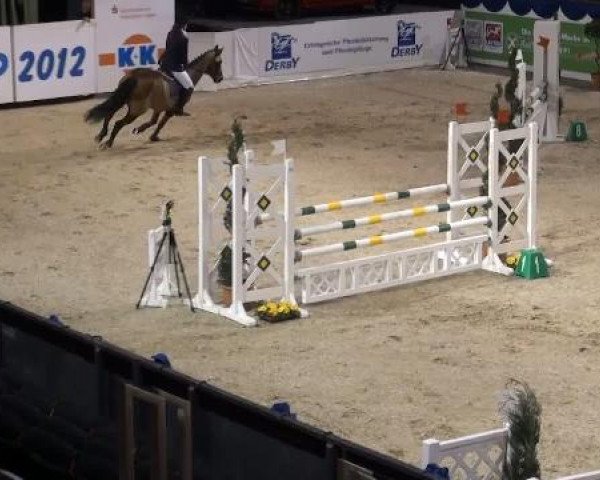 K+K Cup Münster 2012