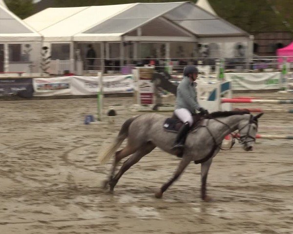 Lenklarer Reitertage Werne 2024