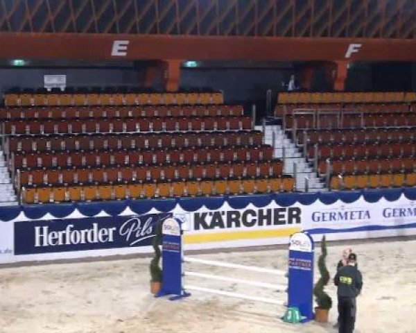 K+K Cup Münster 2012