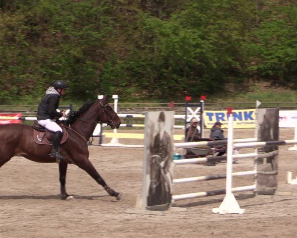 Reitturnier Lgl.-Oberhain, B95 2024
